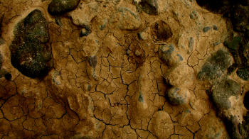 Indistinct Print Near Creek
