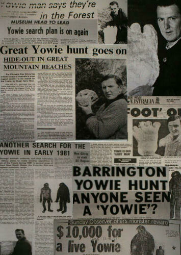 Yowie Newspaper Articles