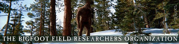 We Support Sanity in Bigfooting