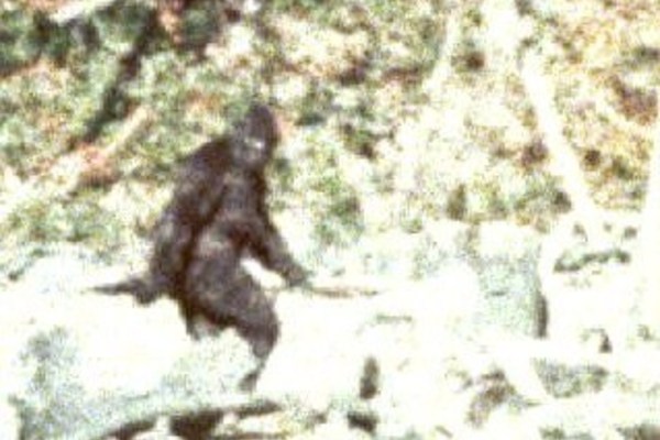 20120811160348-pgf_background_trees