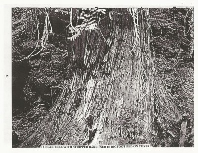 BigFoot Encyclopedia_Page_1405.jpg