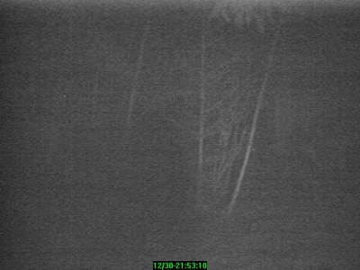 Three frames of video captures obatined on the night of Dec. 30, 2000 near Onalaska, WA