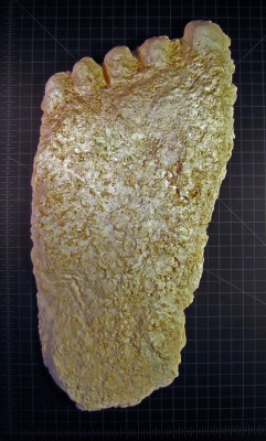 Casts from Oregon