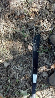 This was another track that was found in the trackway. Info was from the guy who posted it.