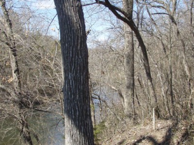 Chickasaw-Park---Feb-13-2010_02.jpg