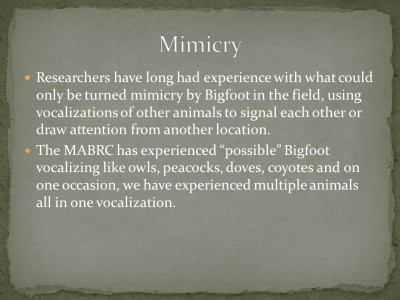 Slide9.JPG
