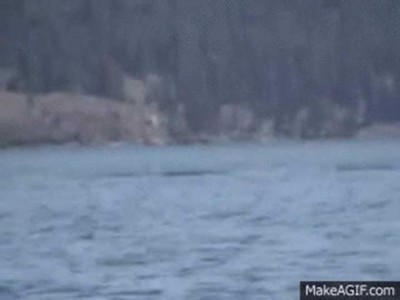 An alleged ogopogo sighting in Kelowna, British Columbia, Canada. The dark spots are thought to be the long, serpentine creature’s back. (YouTube)