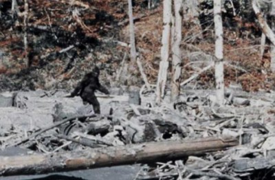 Bigfoot in the Patterson-Gimlin Film. (YouTube Screenshot)