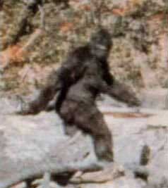 A color representation of bigfoot from the PGF. (Fair Use)
