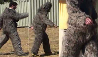 Walking in a Bigfoot costume. (Munns, B. &amp; Meldrum, J.)